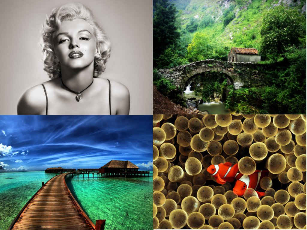 WebDesign_Fonds_dcran_de_grande_qualit_et_gratuits_-_WallpaperFX